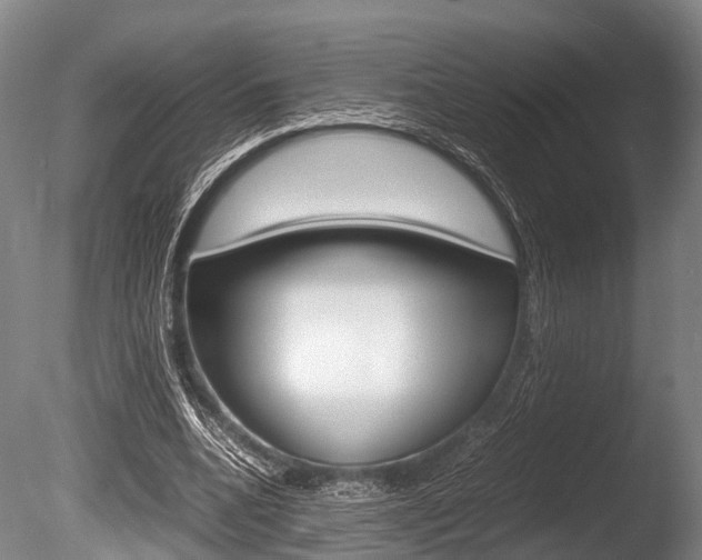 X0000086290536200703300904
