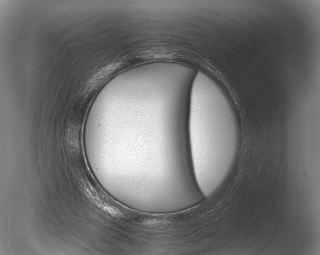 X0000086290537200703300904