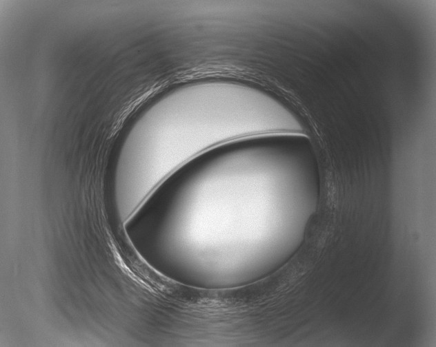 X0000086290538200703300904