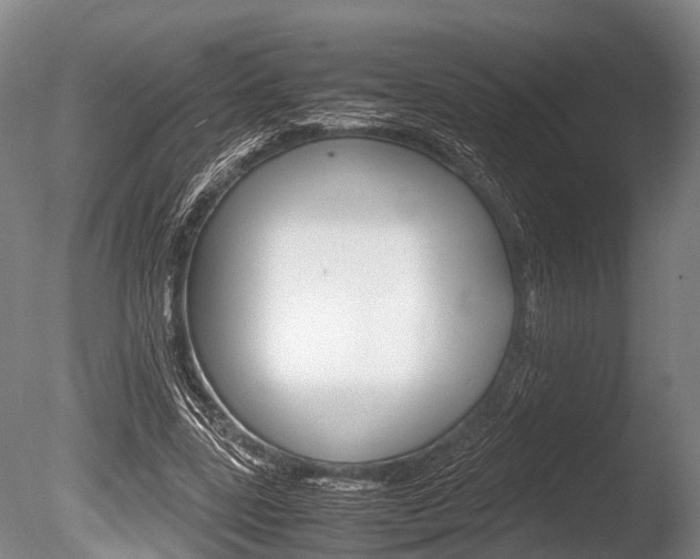 X0000086290539200703300904