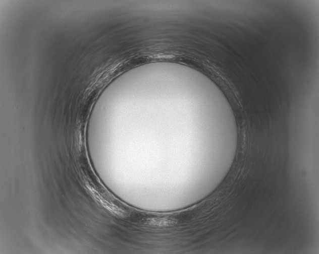 X0000086290541200703300904