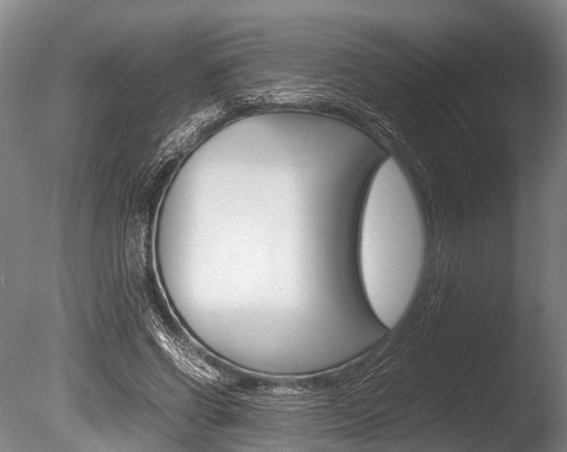 X0000086290542200703300904
