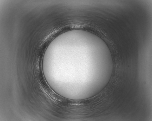 X0000086290543200703300904