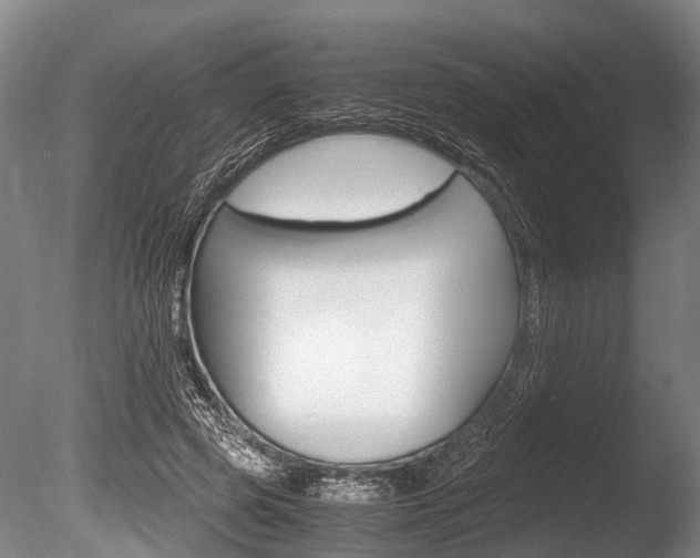 X0000086290545200703300904