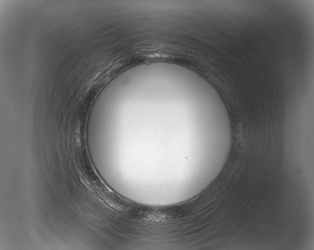 X0000086290547200703300904