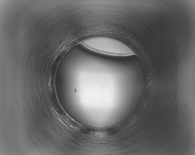 X0000086290548200703300904