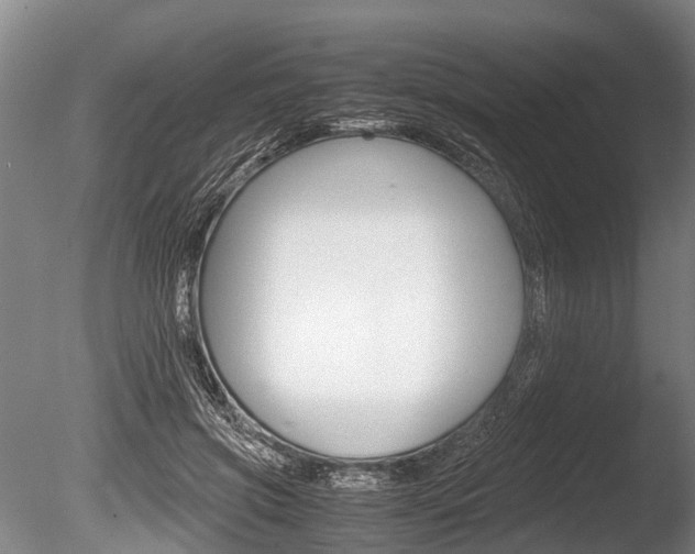 X0000086290549200703300904