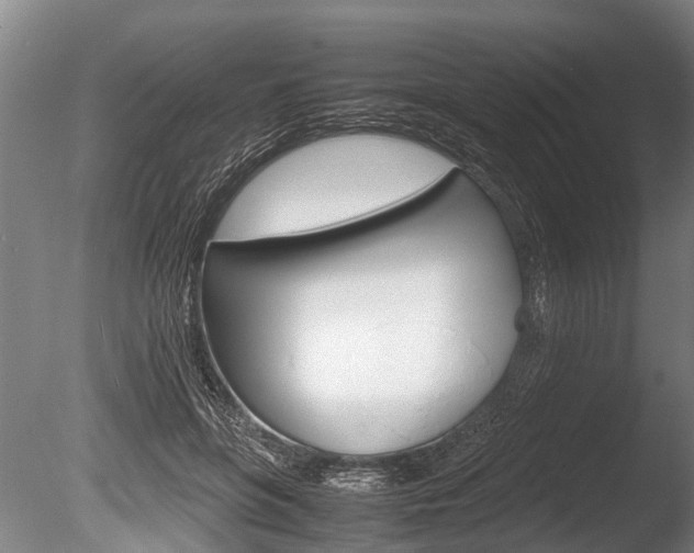X0000086290551200703300904