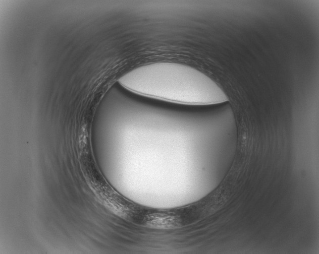 X0000086290555200703300905
