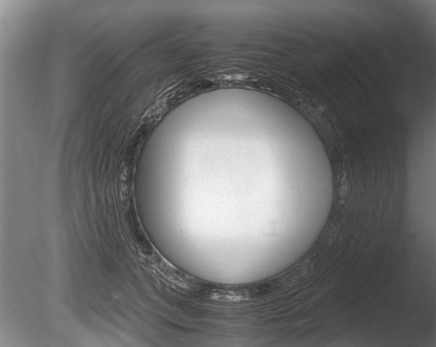 X0000086290559200703300905