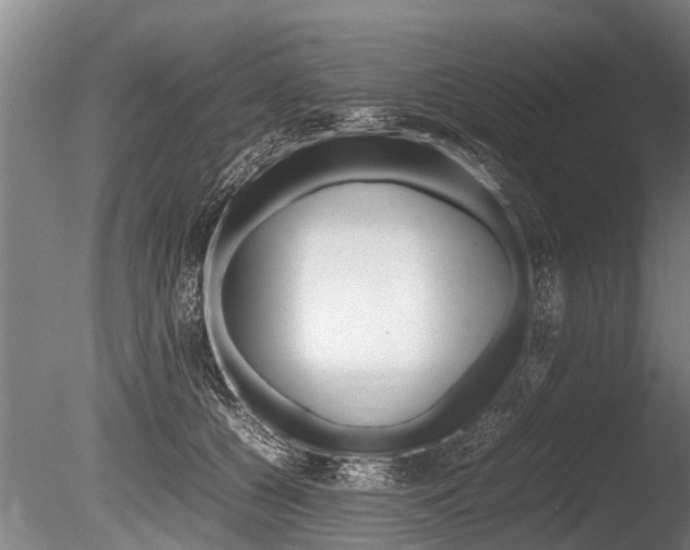 X0000086290560200703300905