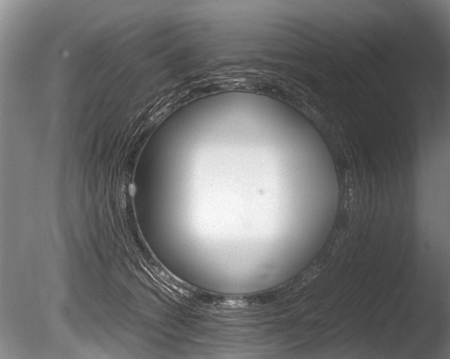 X0000086290562200703300905
