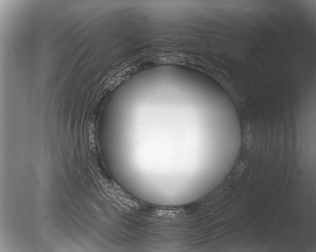 X0000086290571200703300905