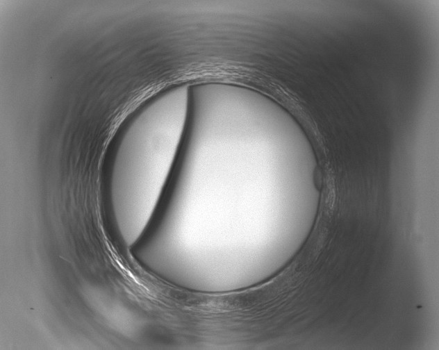 X0000086290578200703300904