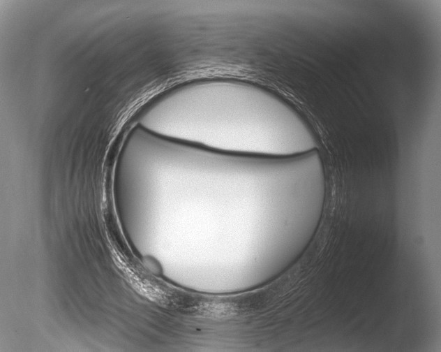 X0000086290582200703300904