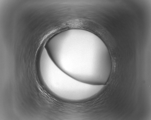X0000086290583200703300904