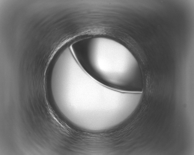 X0000086290584200703300904