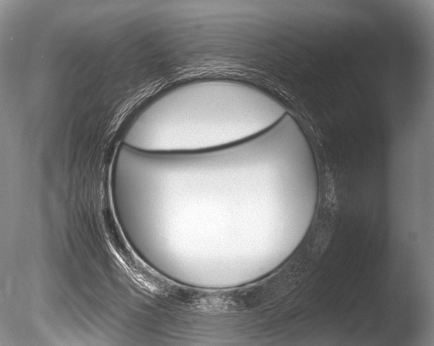 X0000086290586200703300904