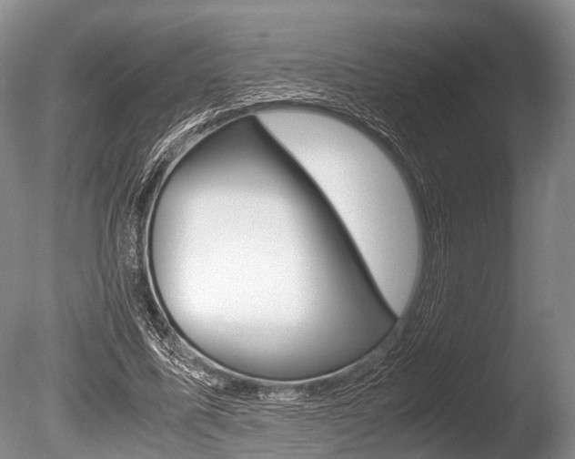 X0000086290587200703300904