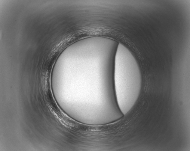 X0000086290590200703300904