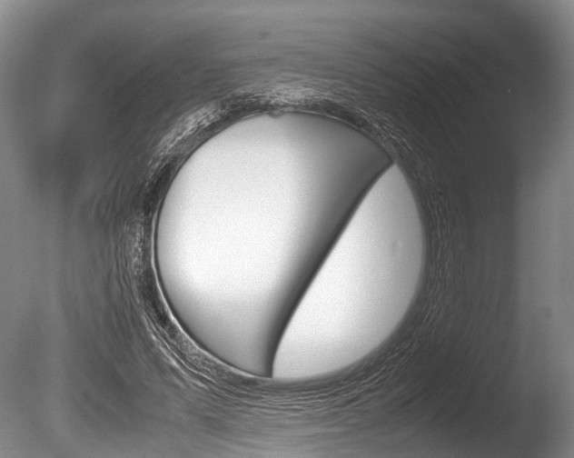 X0000086290591200703300904