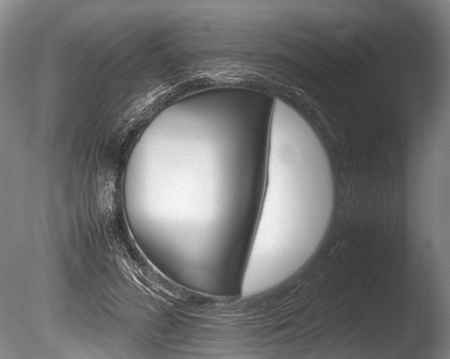 X0000086290596200703300904