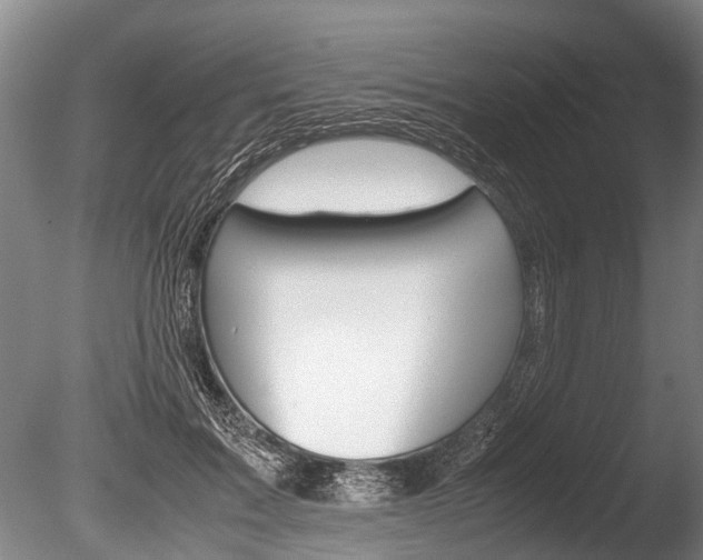X0000086290603200703300904