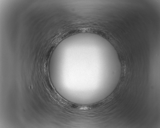 X0000086290611200703300903