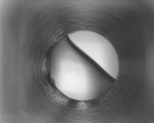 X0000086290616200703300903