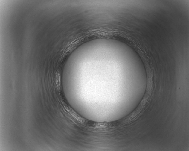 X0000086290624200703300903