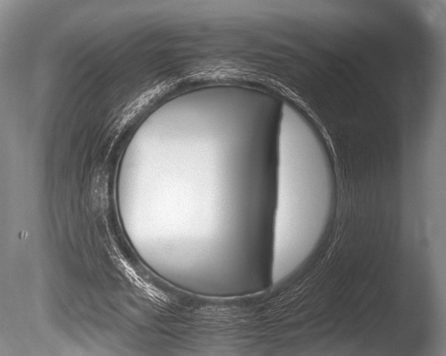 X0000086290629200703300902