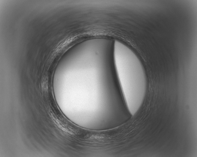 X0000086290631200703300903