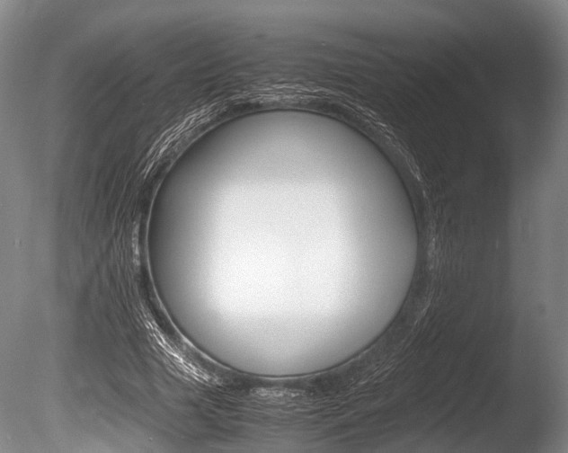 X0000086290633200703300903