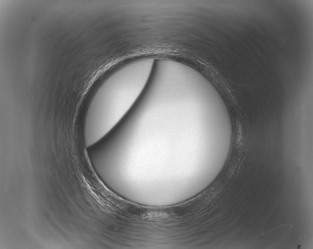 X0000086290636200703300903