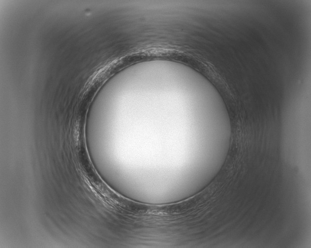 X0000086290640200703300903