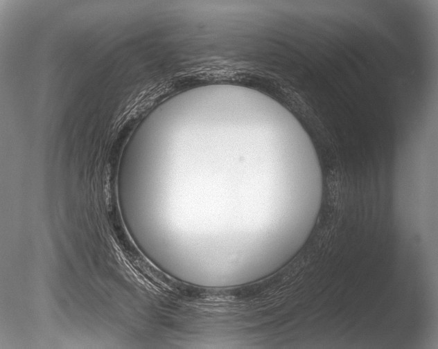 X0000086290642200703300903