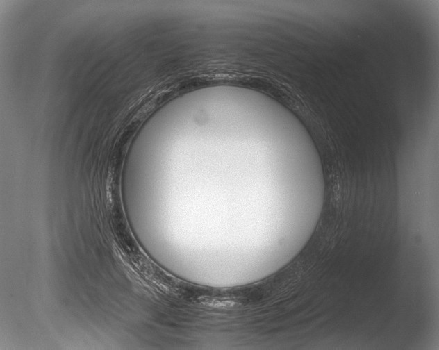X0000086290643200703300903