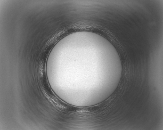 X0000086290644200703300903