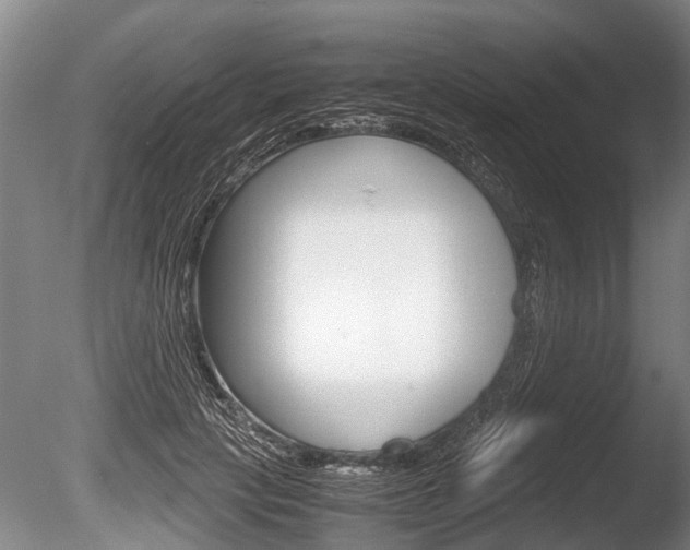 X0000086290649200703300903