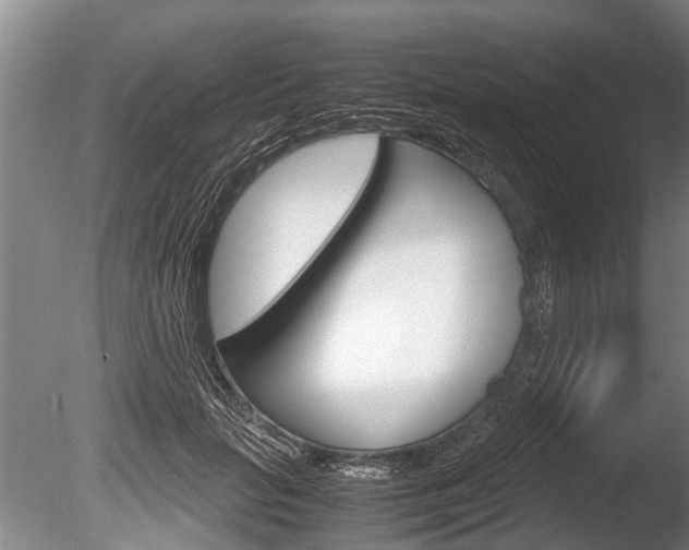 X0000086290653200703300903