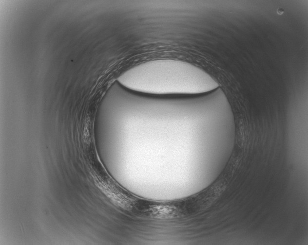 X0000086290654200703300903