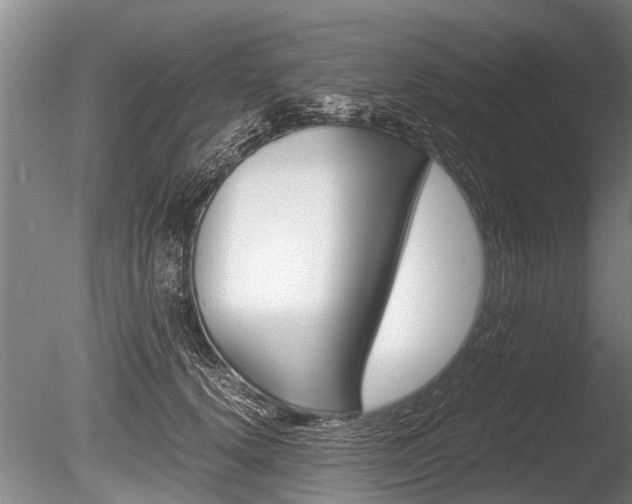 X0000086290656200703300903