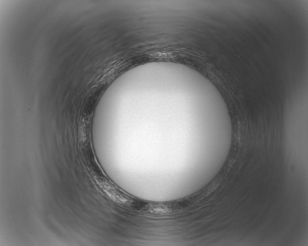 X0000086290658200703300903