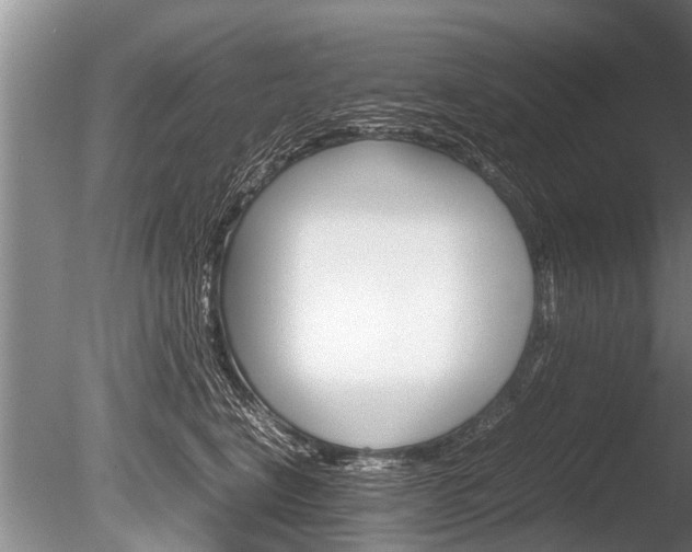 X0000086290664200703300903