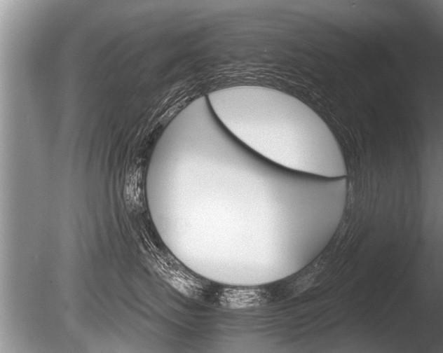 X0000086290671200703300903