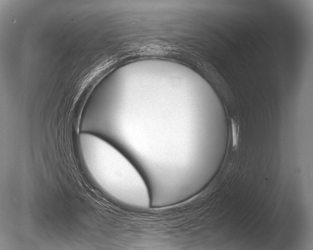 X0000086290675200703300902