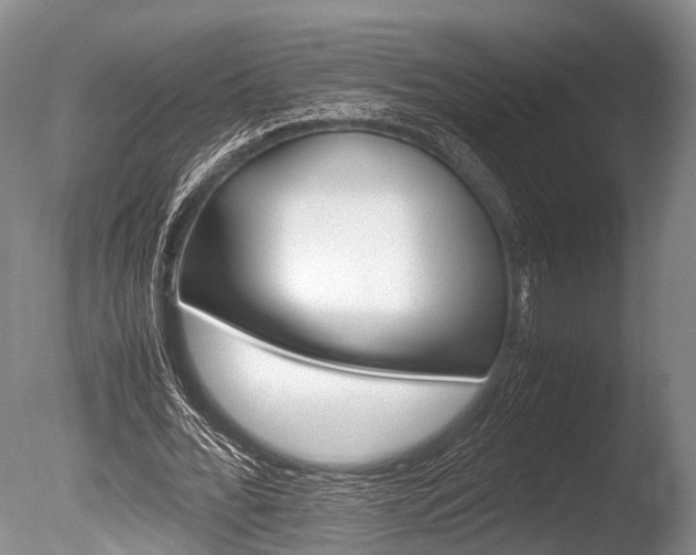 X0000086290676200703300902