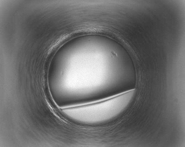 X0000086290677200703300902