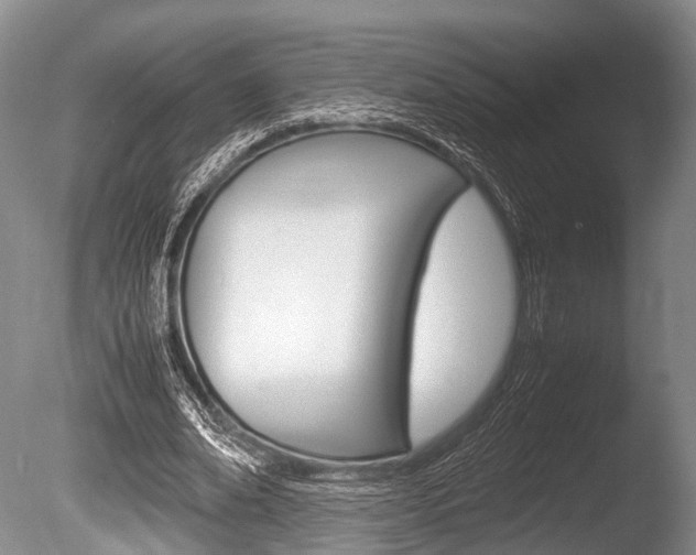 X0000086290678200703300902