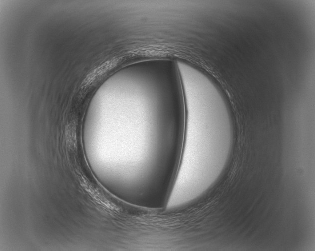 X0000086290681200703300902